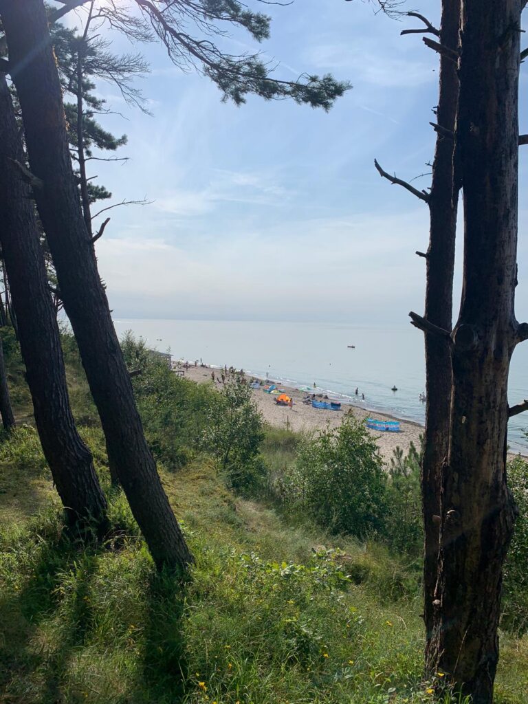 photo 2026 04 30 23 30 18