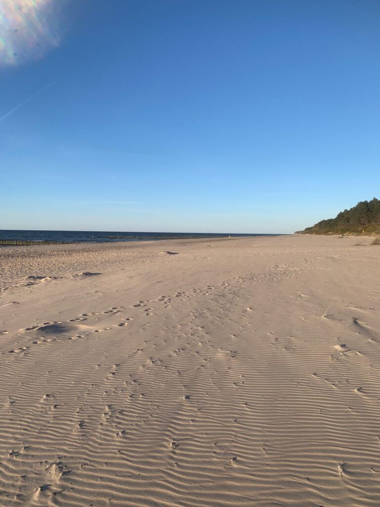photo 2026 04 30 23 31 36 2
